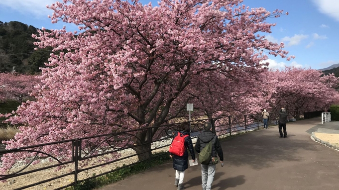 【期間限定】春を味覚で味わう♪金目鯛や伊勢海老を愉しめる桜ディナー(夕朝食付き)